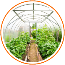 Garden & Agriculture