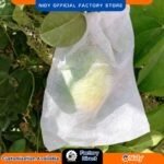 Non-Woven Pomegranate Crop & Fruit Cover – Disposable, UV Resistant, Breathable Protective Bag for Insect, Bird & Weather Protection in Farms, Orchards & Gardens.