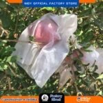 Non-Woven Pomegranate Crop and Fruit Cover – Breathable, UV Resistant, Disposable Protective Cover for Pest, Bird & Weather Protection – Ideal for Farms & Orchards.
