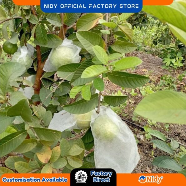 Non-Woven Pomegranate Fruit and Crop Cover – UV Resistant, Breathable, Disposable Protection from Insects, Birds, and Weather.