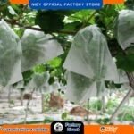 Non-Woven Pomegranate Crop & Fruit Cover – Disposable, UV Resistant, Breathable Protective Bag for Insect, Bird & Weather Protection in Farms, Orchards & Gardens.