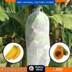 Disposable Non-Woven Papaya and Banana Plant Protection Cover for UV, Insect, and Weather Shielding.