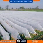 Disposable Non-Woven Pomegranate Single Tree Cover – Breathable Plant Protector for Sun, Rain, Pest & Insect Protection – Ideal for Gardens & Farms.